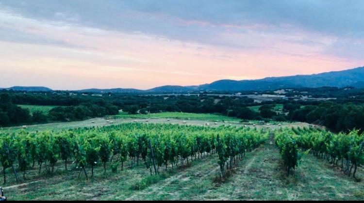 Elegant Country Open Space Deluxe Tenuta Piredu -Monti-Olbia Exteriér fotografie